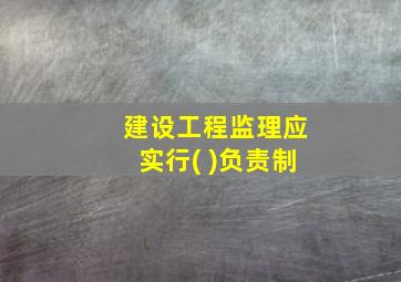 建设工程监理应实行( )负责制